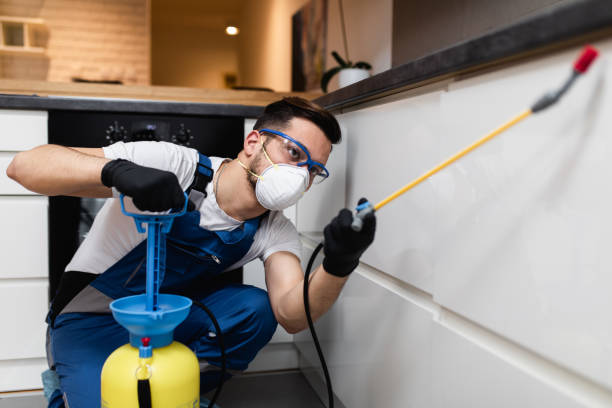 Reliable North Grosvenor Dale, CT Pest Control Solutions