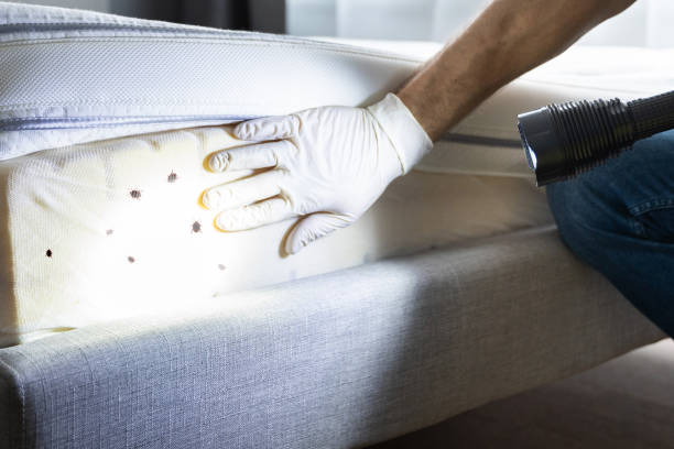 Pest Control Cost in North Grosvenor Dale, CT