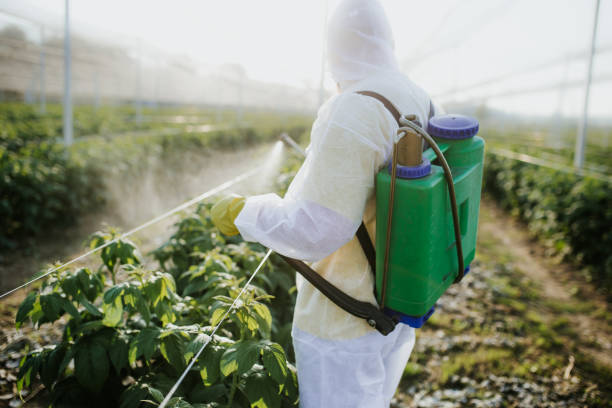 Best Pest Control Near Me  in North Grosvenor Dale, CT